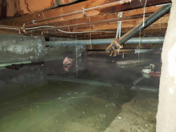 Trusted Hudson, OH Water damage restoration Experts