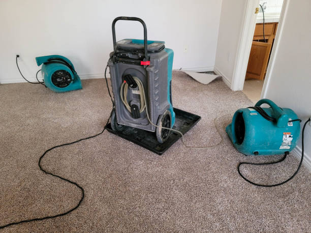 Best Water damage mitigation services  in Hudson, OH