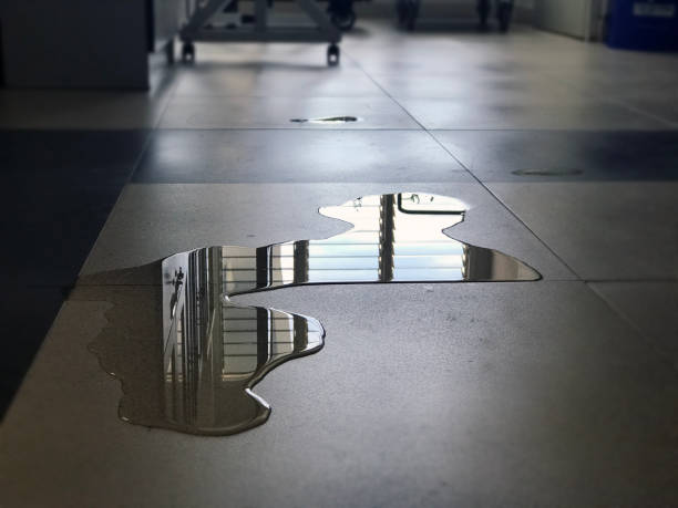 Best Water damage contractors near me  in Hudson, OH