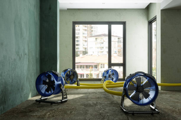 Best Water damage restoration specialists  in Hudson, OH